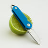 dataVariant_Blue