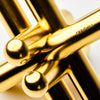 dataVariant_Brass